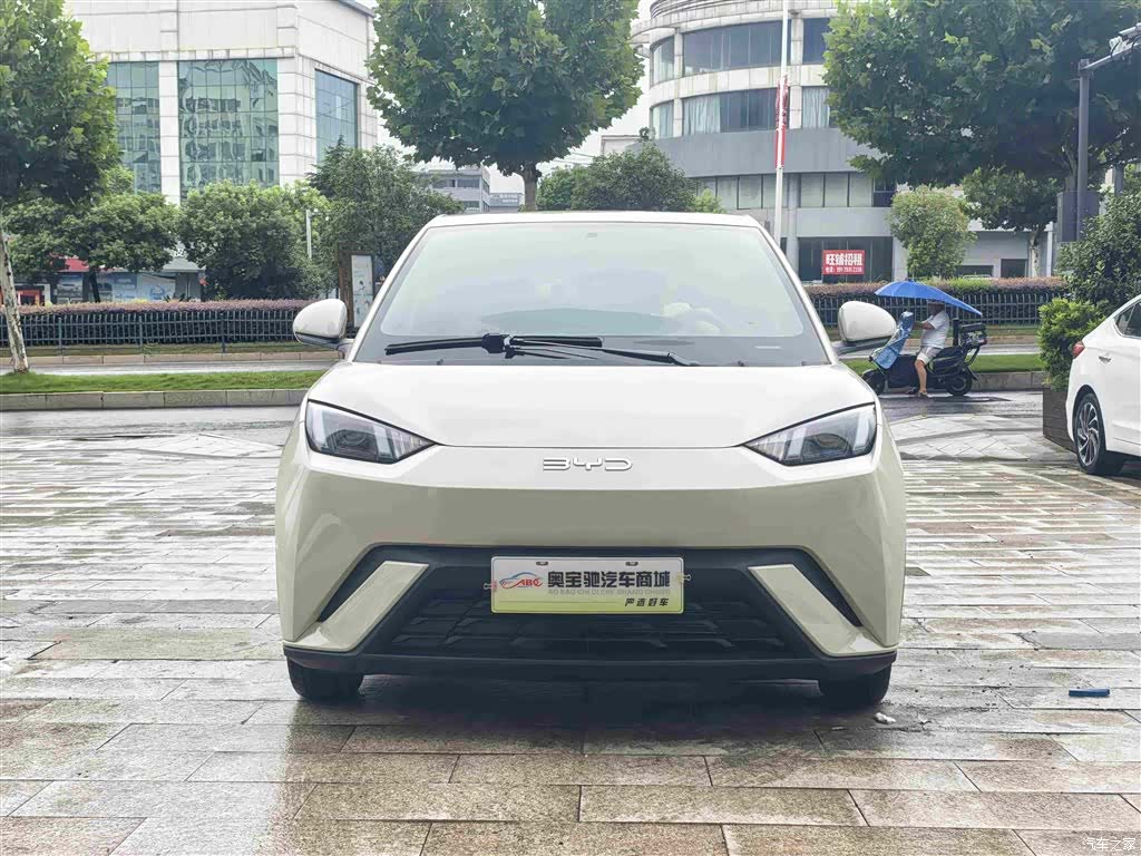 BYD Seagull, 2025 2