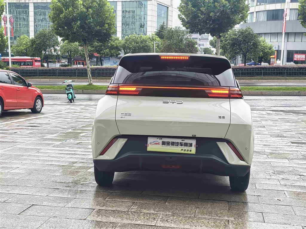 BYD Seagull, 2025 8