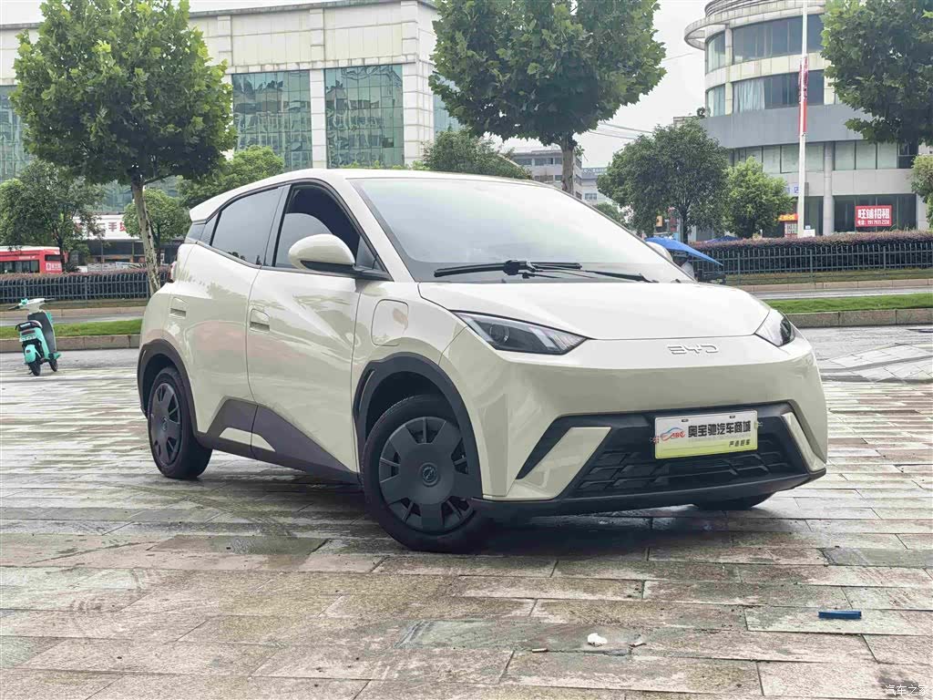 BYD Seagull, 2025 3