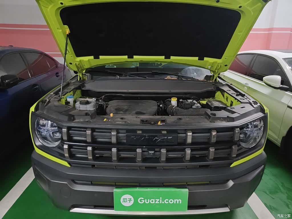 Haval Cool Dog, 2023 11