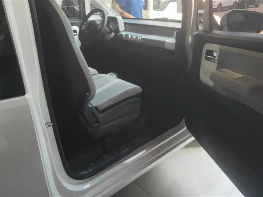 Wuling Wuling Air ev Clear Sky