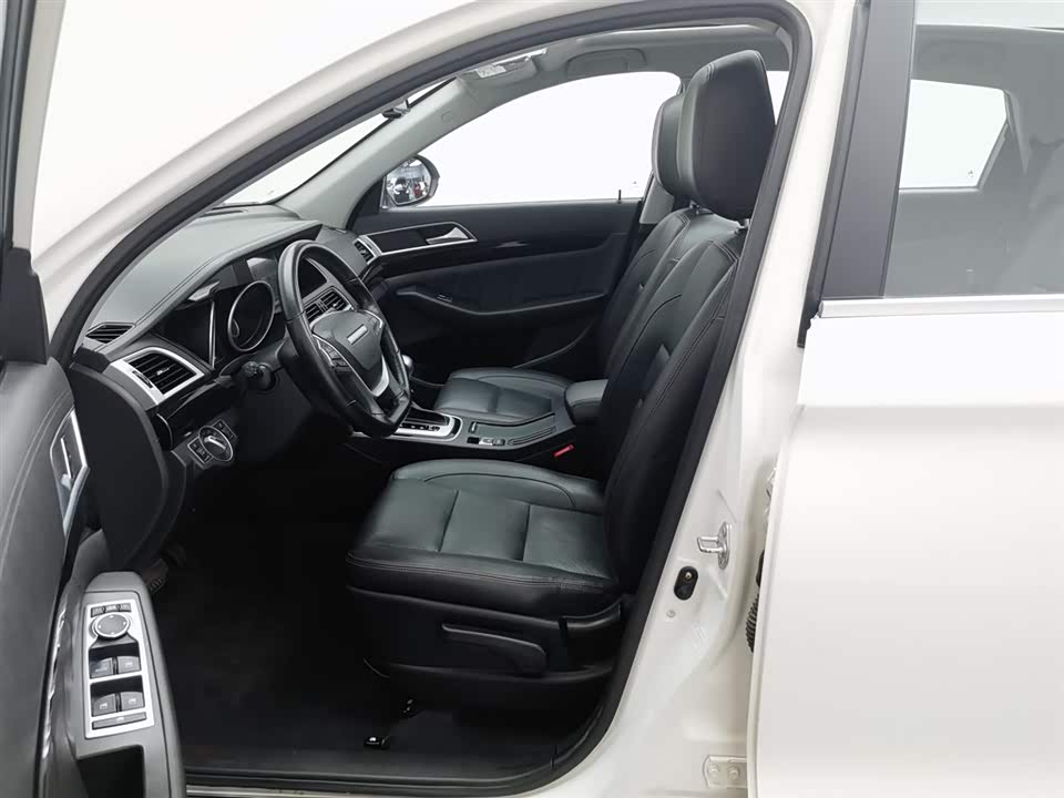 Leopaard Cheetah CS10