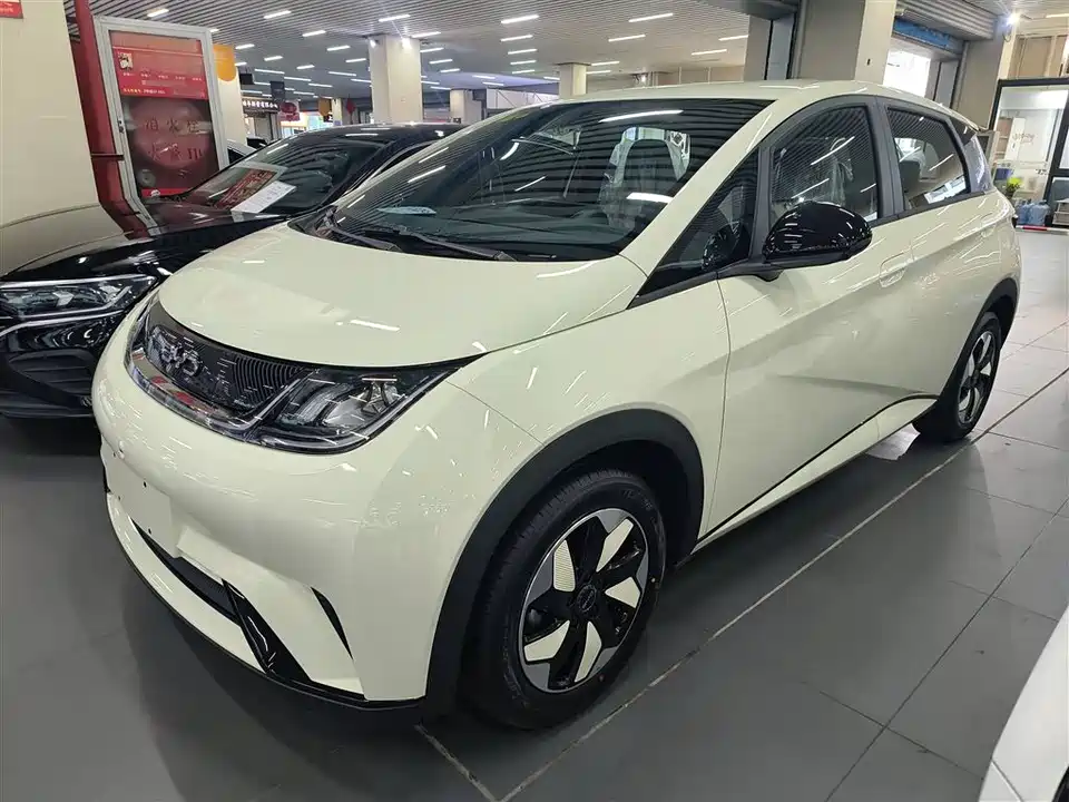 BYD dolphin