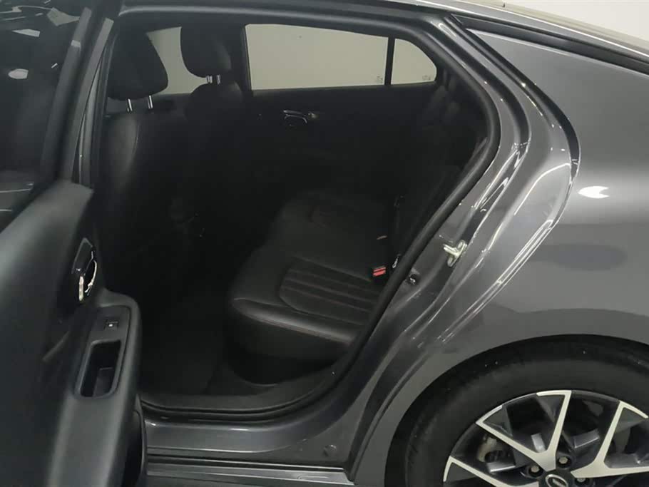 Trumpchi Shadow Leopard