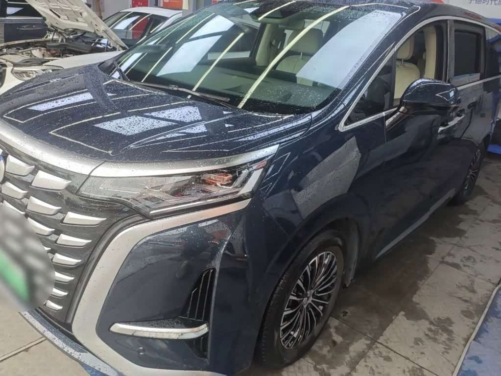 Denza D9