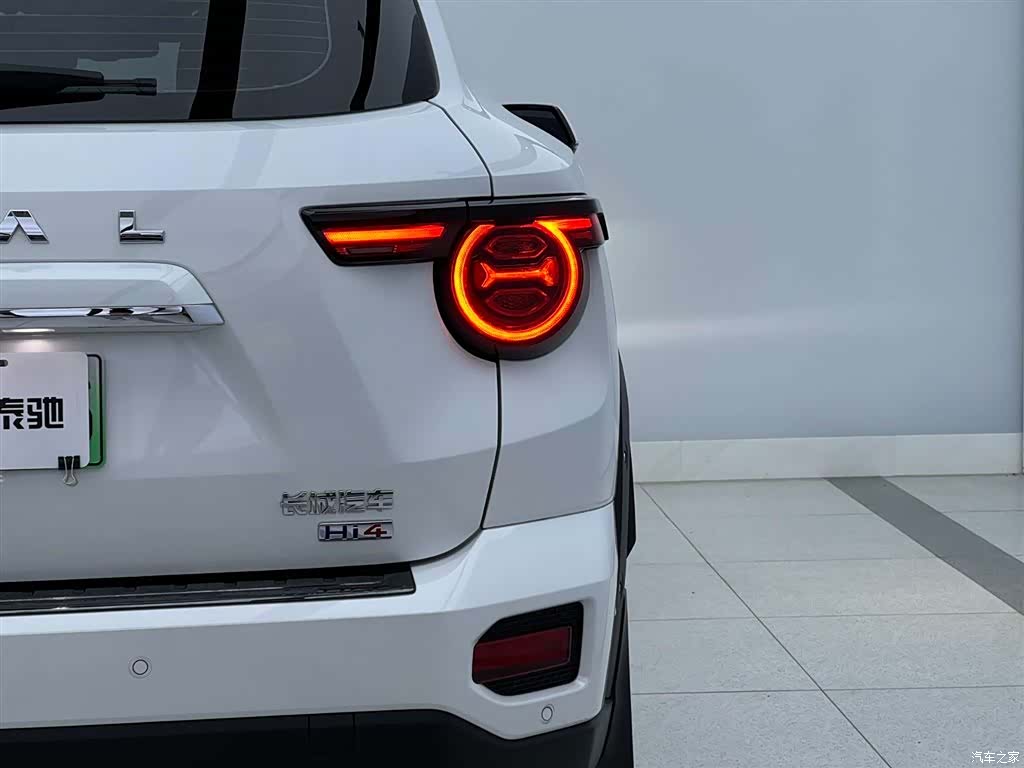 Haval Big Dog, 2024 9