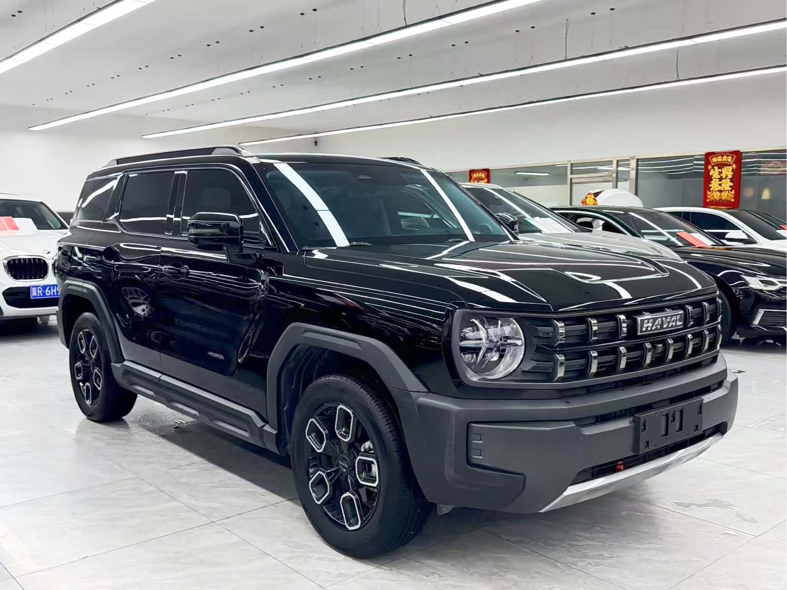Haval Cool Dog, 2022 3