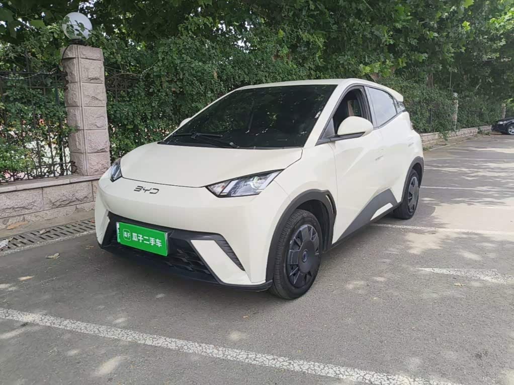 BYD Seagull