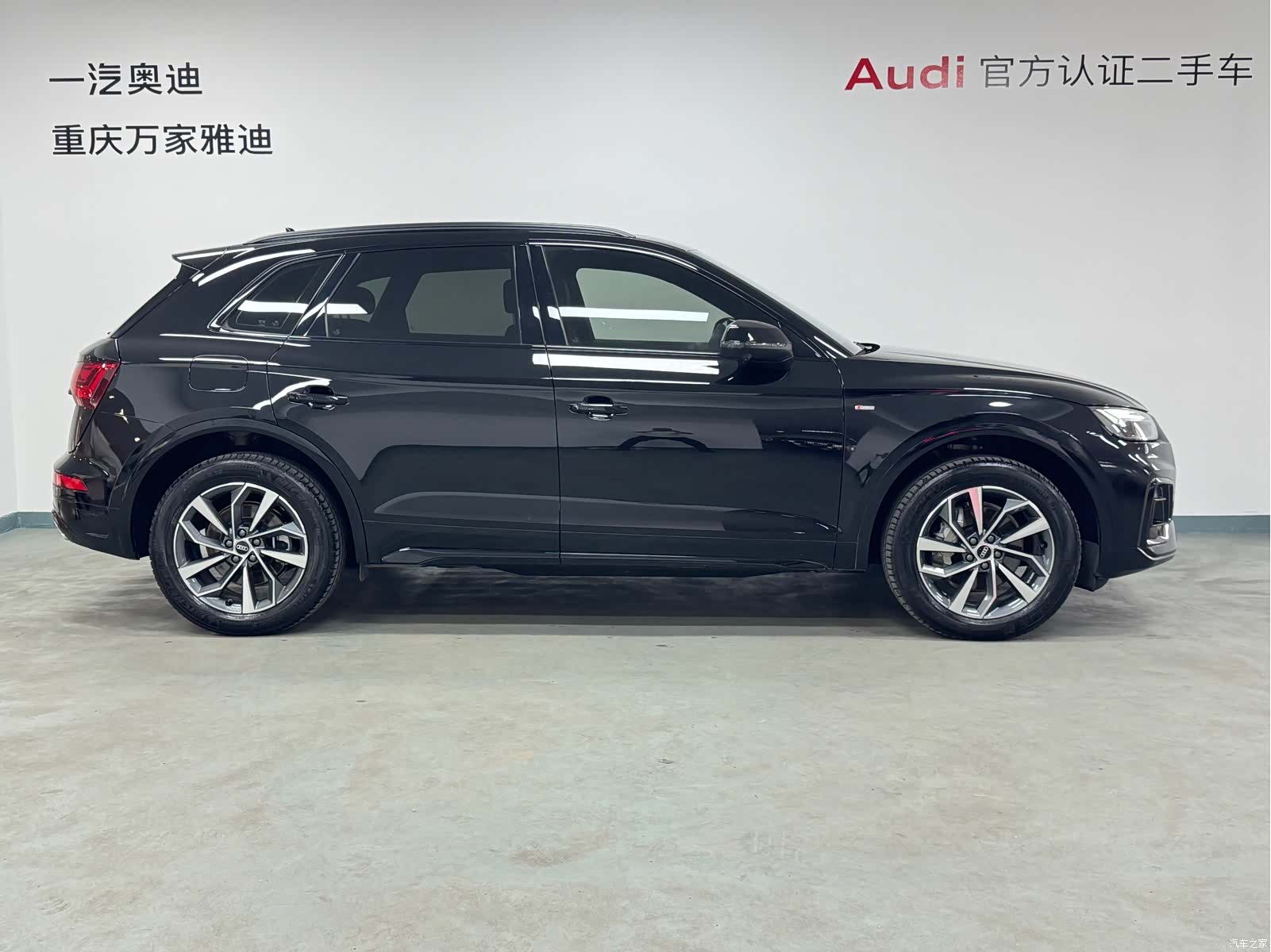 Audi Q5L, 2023 все фото