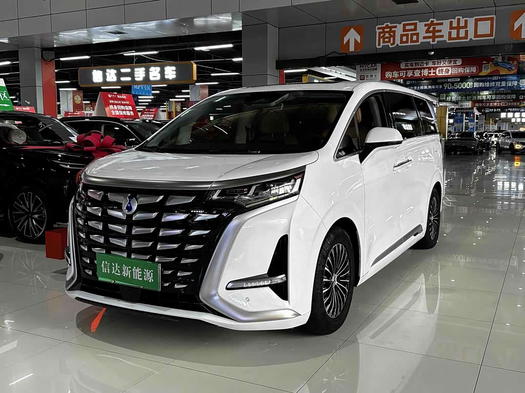 Denza D9