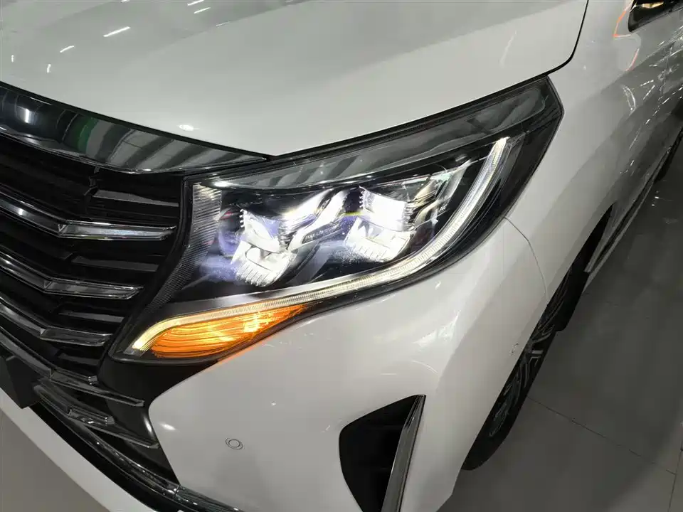 Trumpchi Trumpchi M8