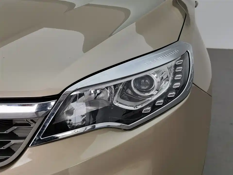 Leopaard Cheetah CS10