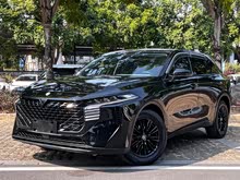 ������V 2022�� 260T �����桤����