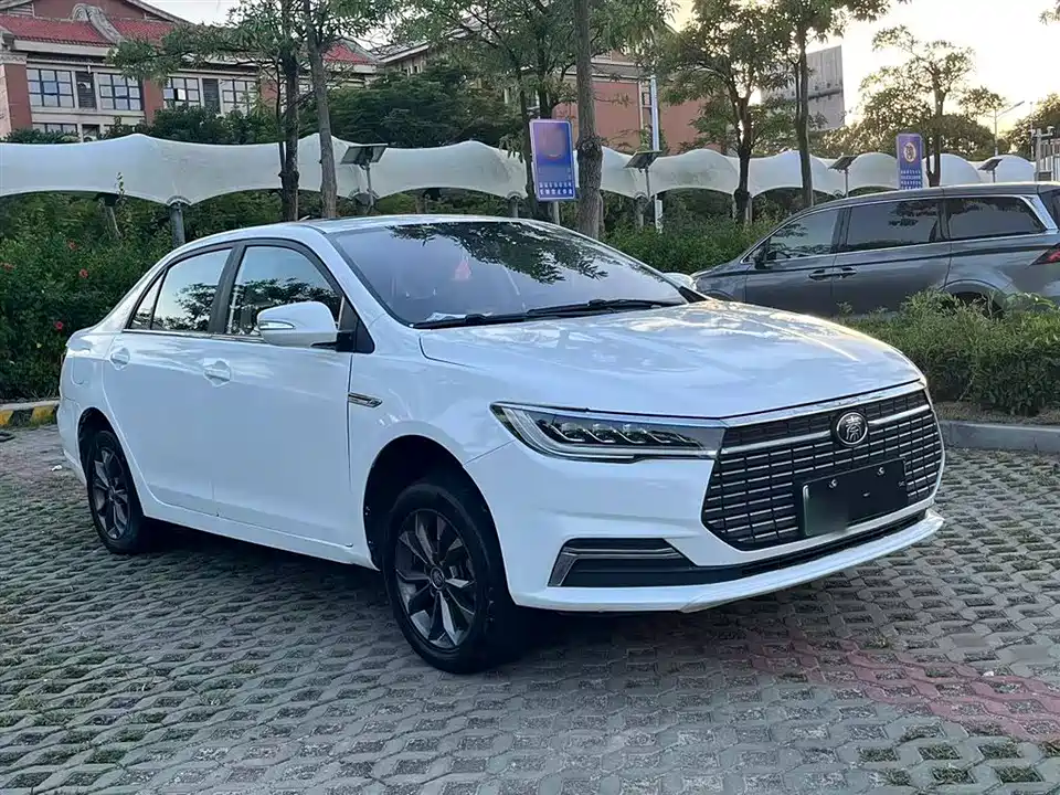 BYD Qinxin Energy