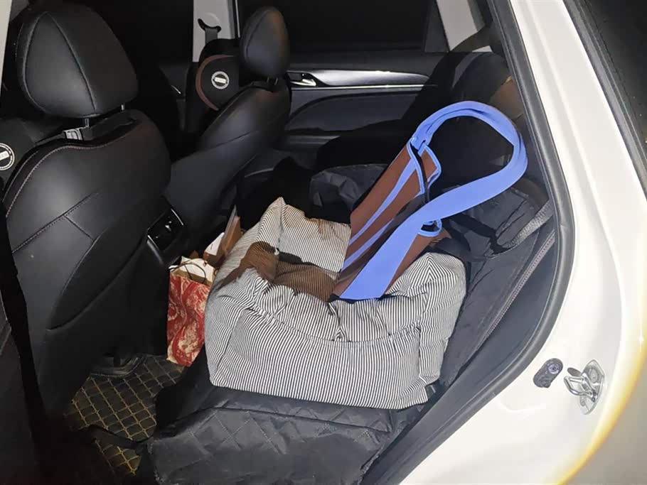 Trumpchi Trumpchi GS4 PLUS