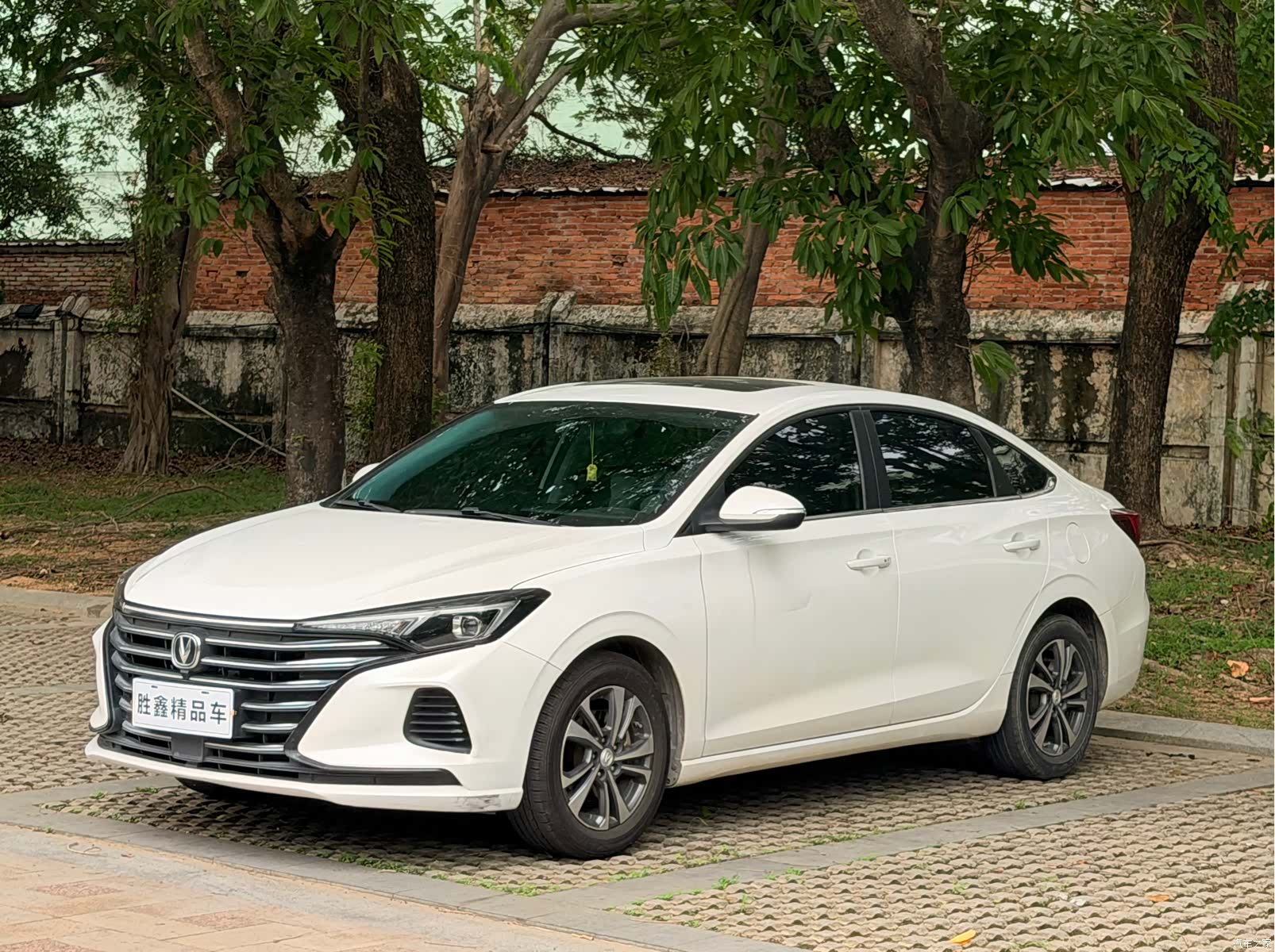 Changan Eado, 2021 1
