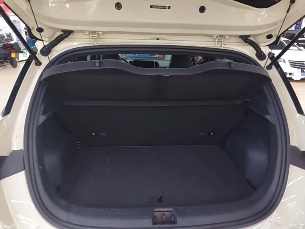 BYD Dolphin, 2024 19