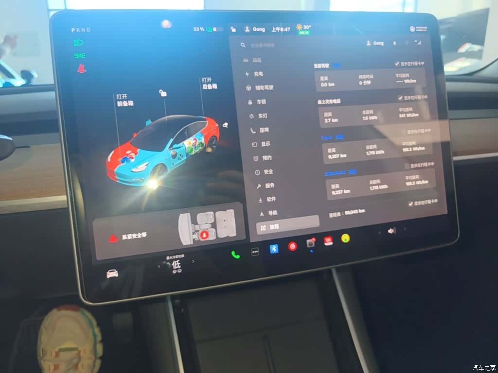 Tesla Model 3, 2020 13