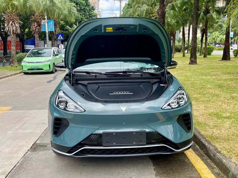 ARCFOX Polar Fox Alpha T