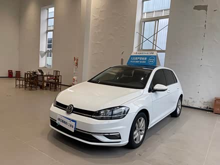 �ɶ����ָ߶��� 2019�� 280TSI DSG������ ��VI