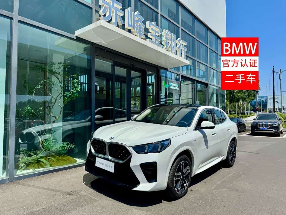BMW X2