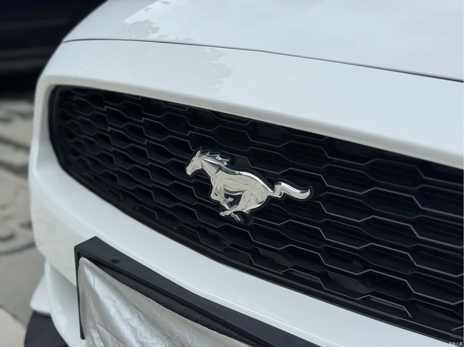 Ford Mustang, 2016 все фото
