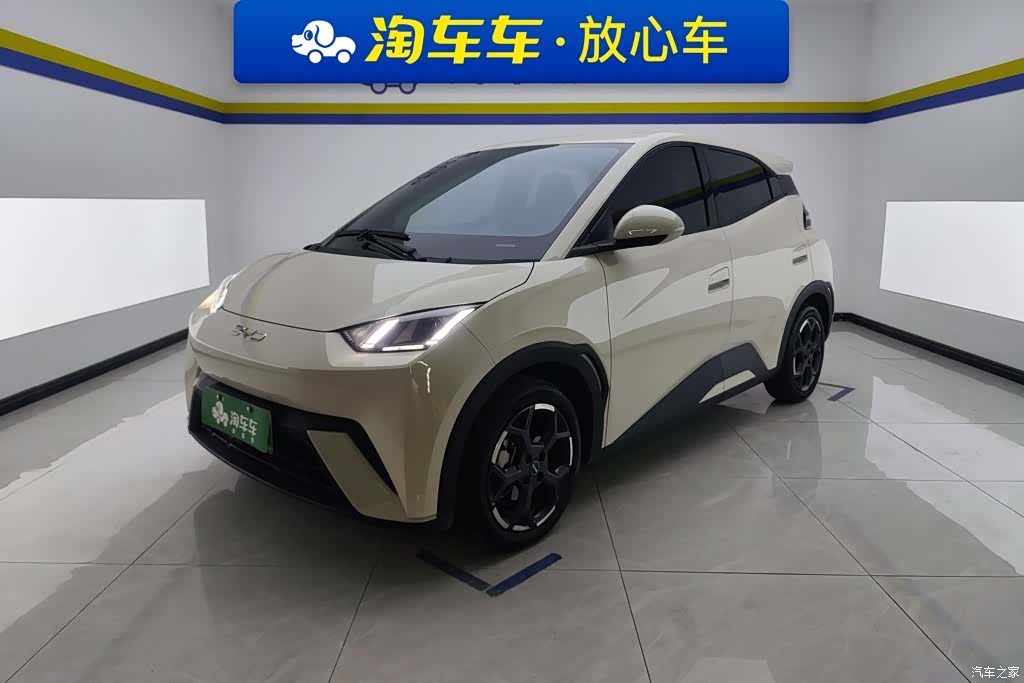BYD Seagull, 2024 1