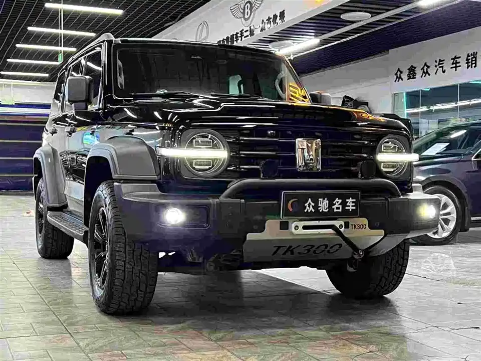 Tank 300 Tank 300