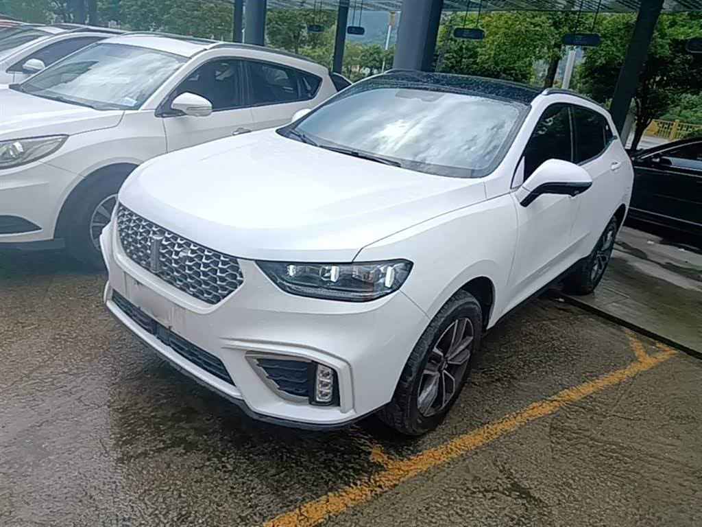 Wey VV5