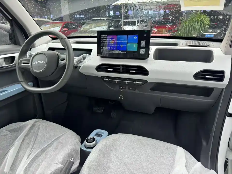 Geely Galaxy panda