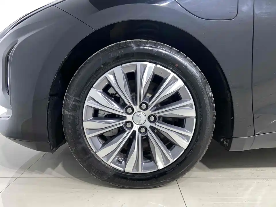 Hongqi E-QM5