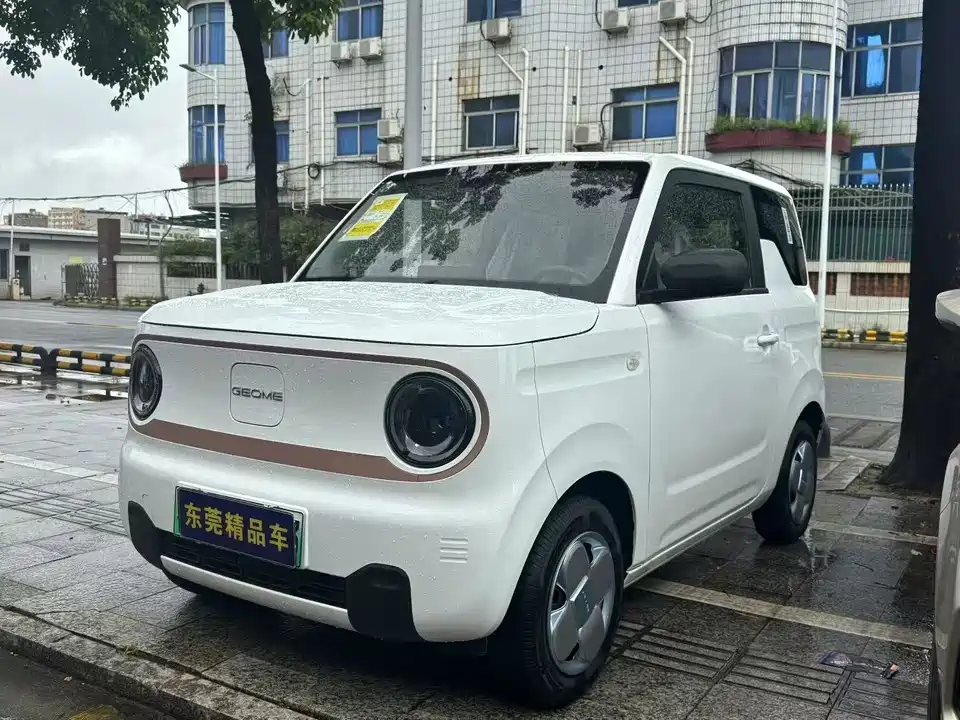 Geely Galaxy panda