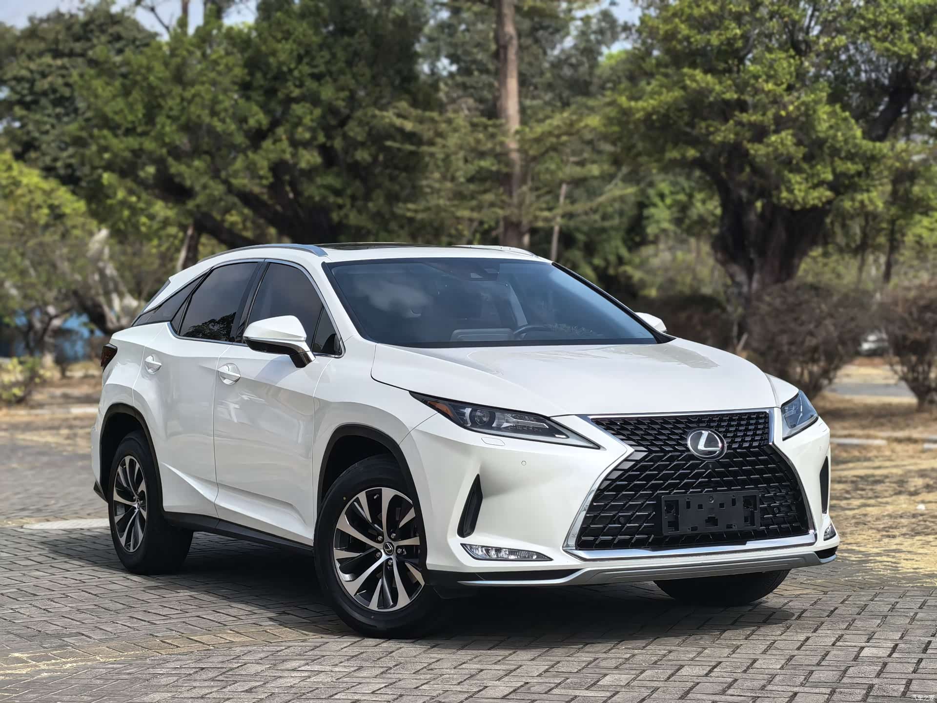 Lexus RX, 2019 3