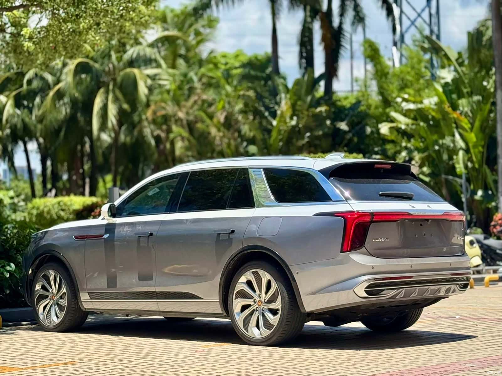 Hongqi E-HS9, 2021 22