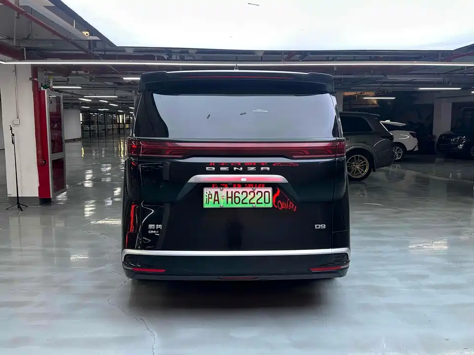 Denza D9