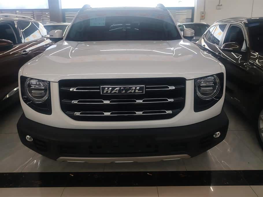 Haval Big dog