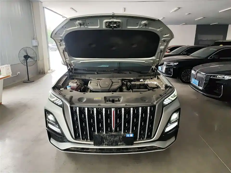Hongqi HS5