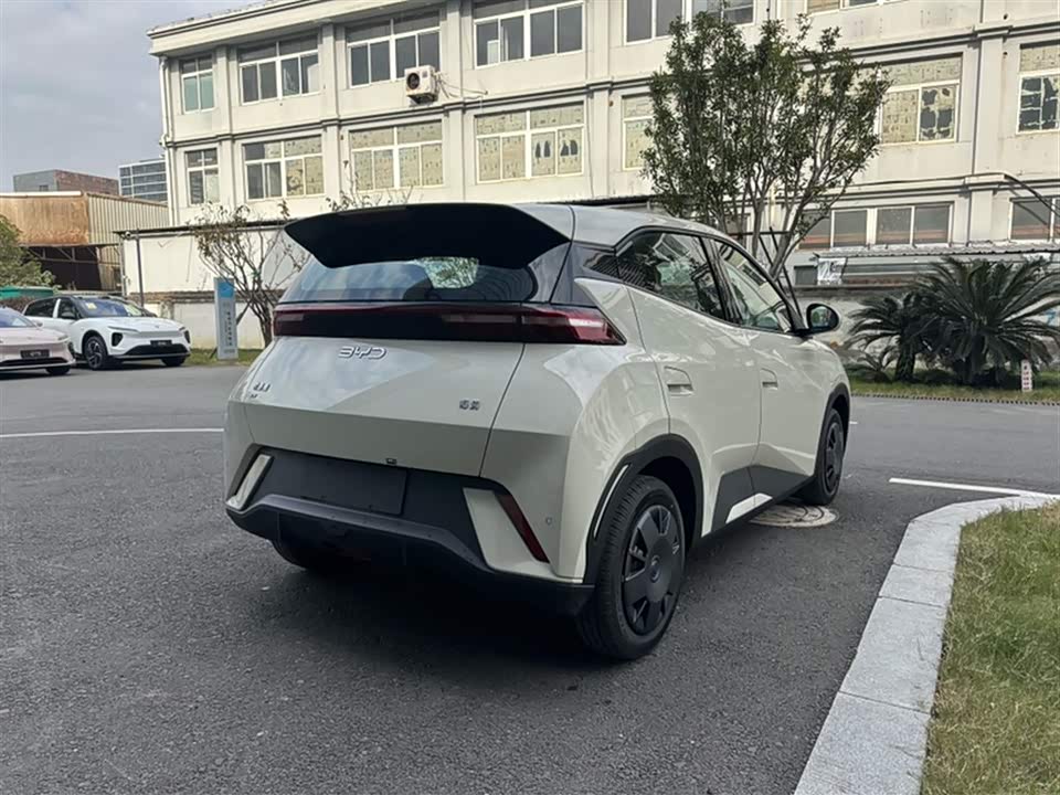 BYD Seagull BYD Seagull