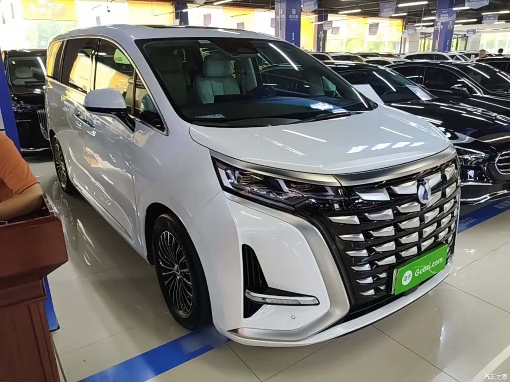 Denza D9, 2024 4