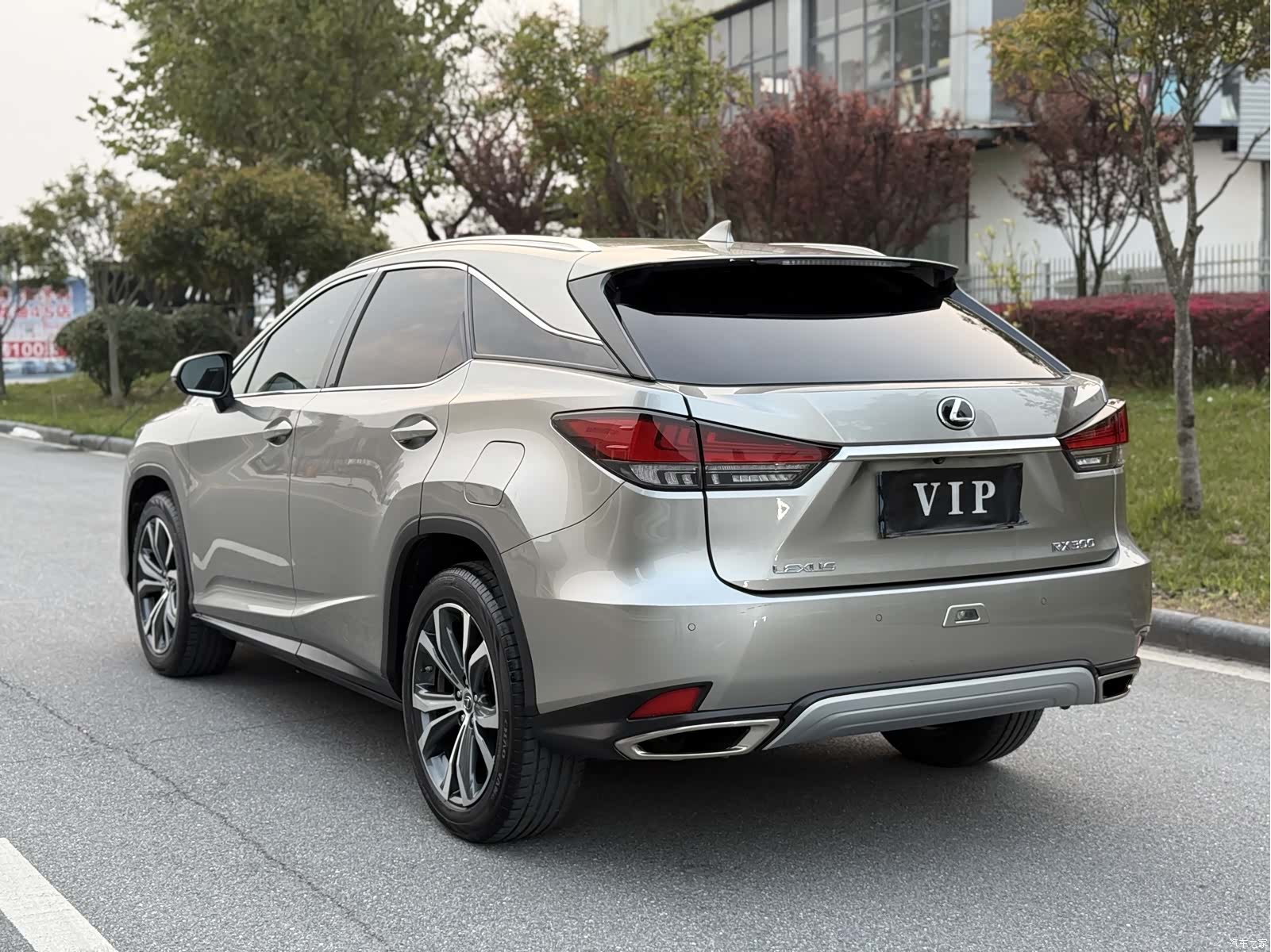 Lexus RX, 2020 8