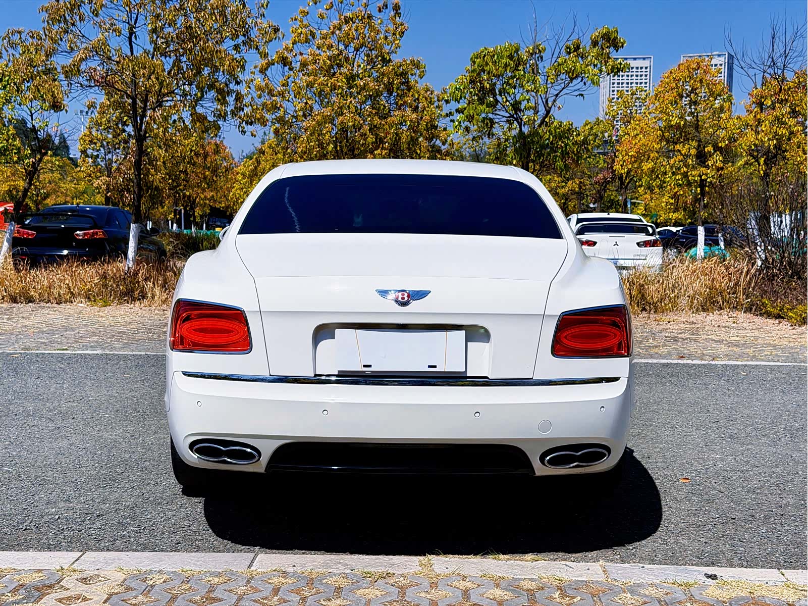 Bentley Flying Spur, 2020 19