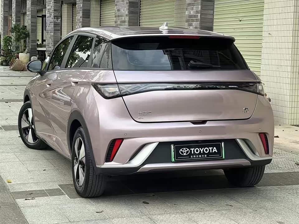 BYD dolphin