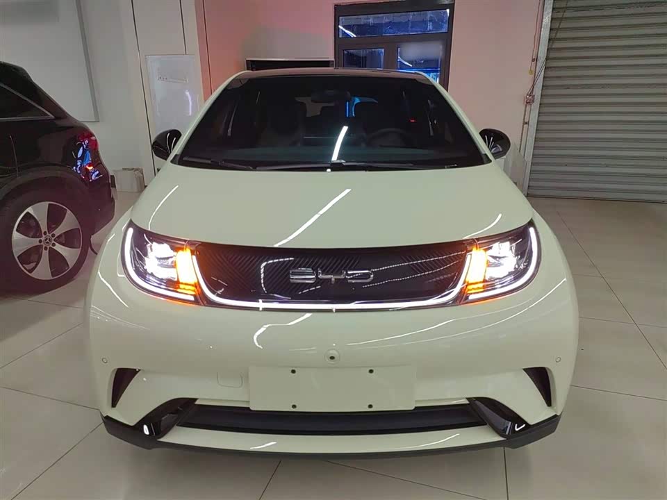 BYD dolphin