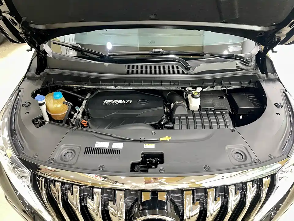 Trumpchi Trumpchi M8