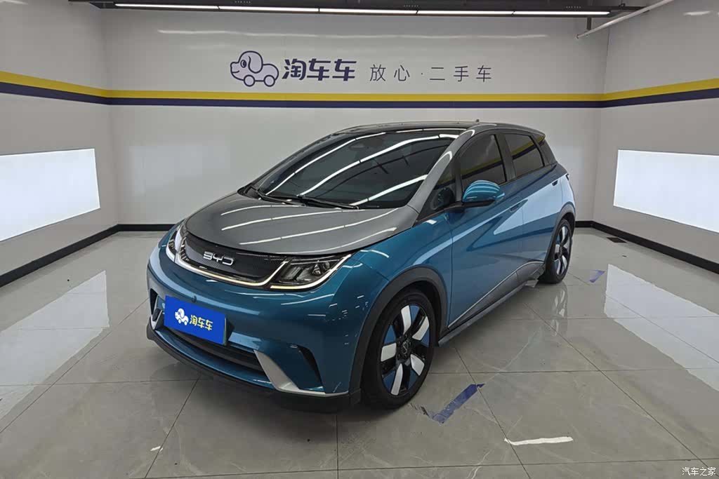 BYD Dolphin, 2022 1