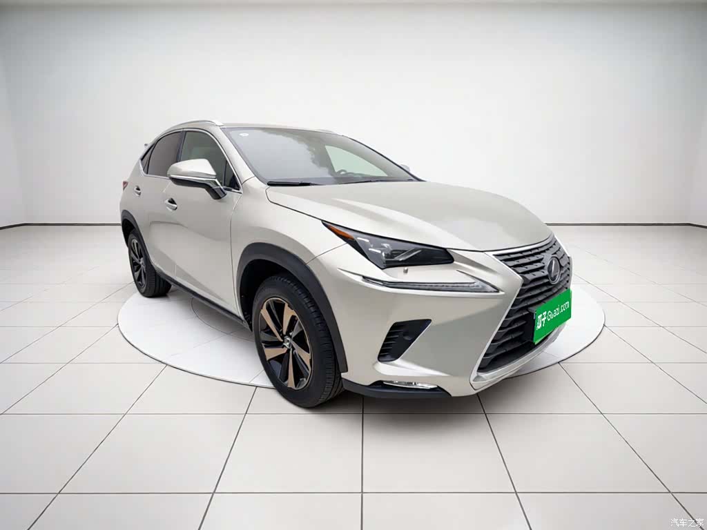 Lexus NX, 2021 3