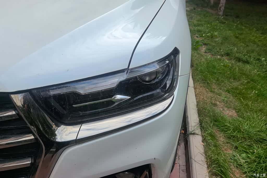Haval H6, 2022 все фото