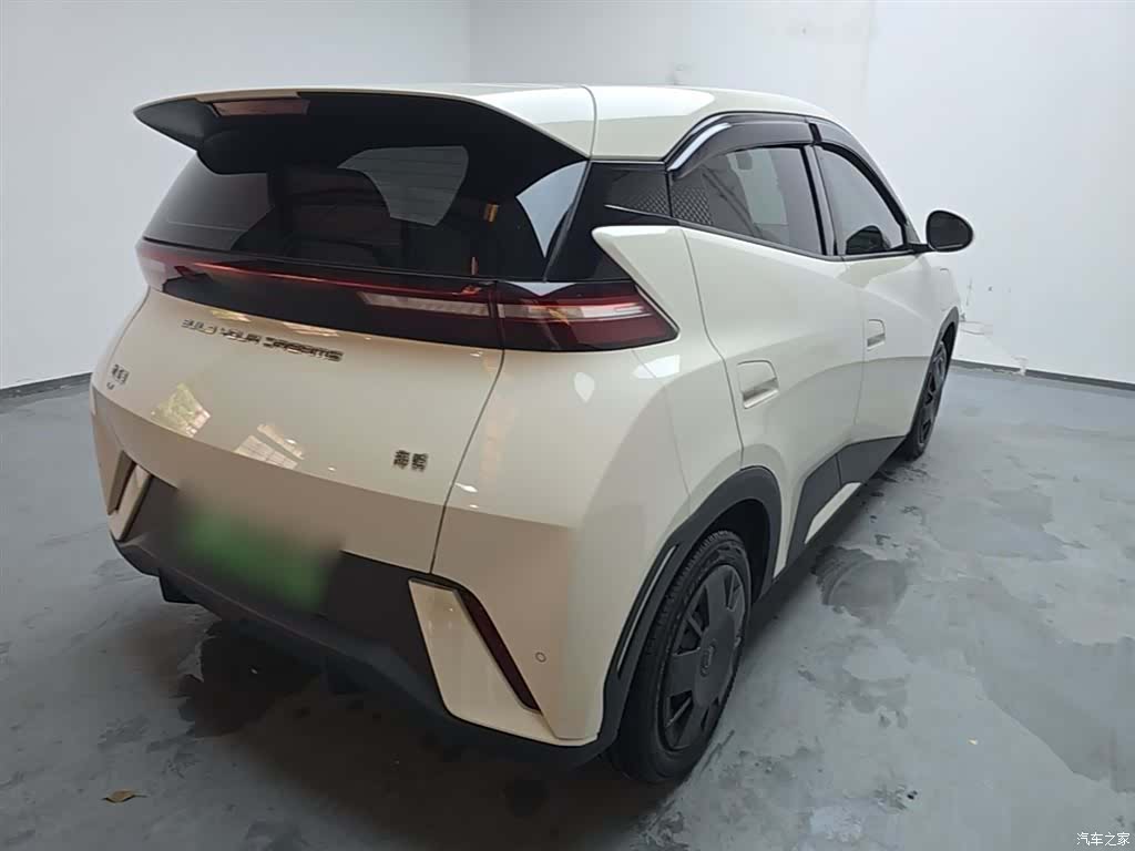 BYD Seagull, 2024 7