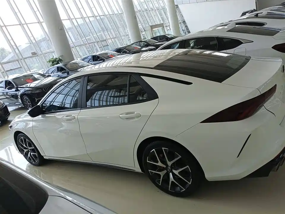 Trumpchi Shadow Leopard Trumpchi Shadow Leopard