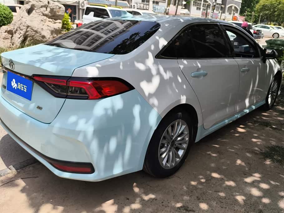 Toyota Asian lion